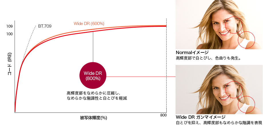 Wide DR ガンマ